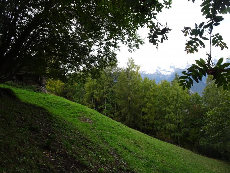 Isérables, Les Fontanettes - Habitat agricole, pâturages boisés, prés, champs, routes, chemins Isérables