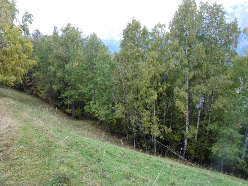 Isérables, Les Fontanettes - Habitat agricole, pâturages boisés, prés, champs, routes, chemins Isérables