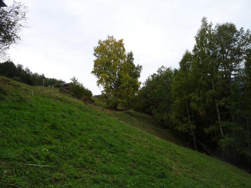 Isérables, Les Fontanettes - Habitat agricole, pâturages boisés, prés, champs, routes, chemins Isérables