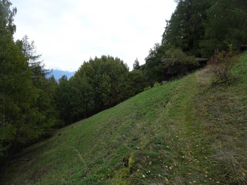 Isérables, Les Fontanettes - Habitat agricole, pâturages boisés, prés, champs, routes, chemins Isérables