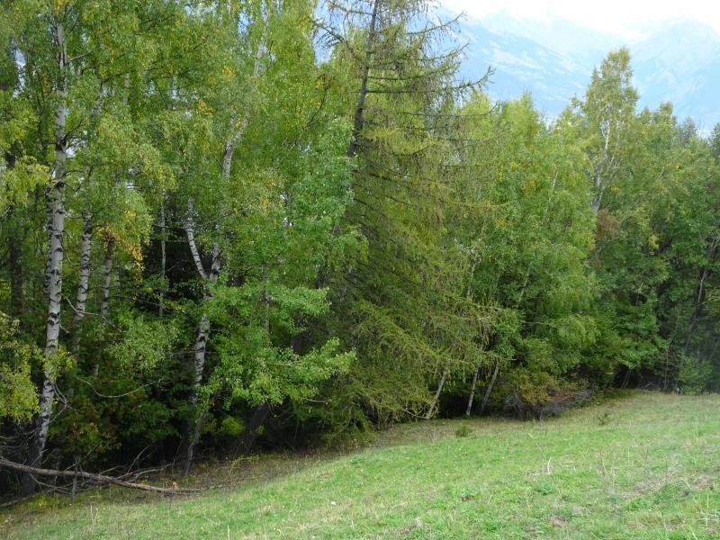 Isérables, Les Fontanettes - Habitat agricole, pâturages boisés, prés, champs, routes, chemins Isérables